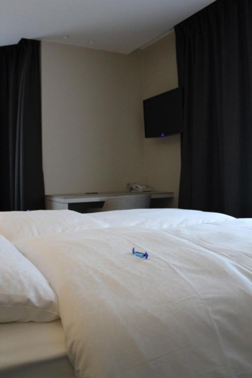 Hotel Astel 데한 객실 사진